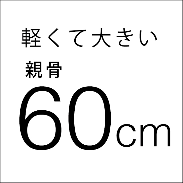 JOTARO SAITO × mabu 江戸 16本骨傘 │ オフィシャルストア