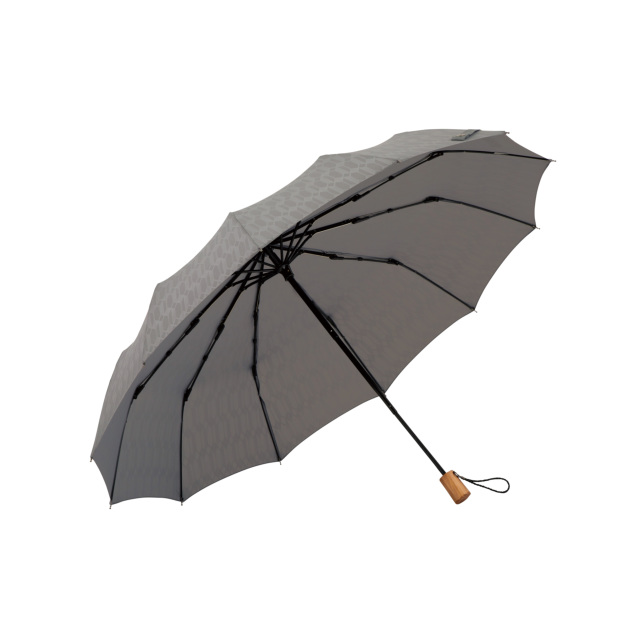 cox33pr】A. LANGE & SÖHNE グレー傘 02_PCE.jpg